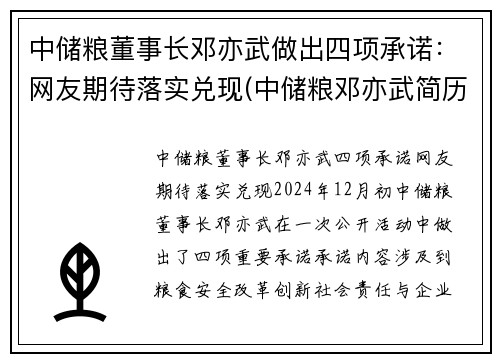 中储粮董事长邓亦武做出四项承诺：网友期待落实兑现(中储粮邓亦武简历)